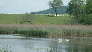 frischer-harlem-valley-rail-trail-wassaic-ny