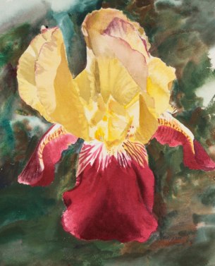 watercolor_iris