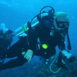 Gary Diving Paul Stockmann SQUARE